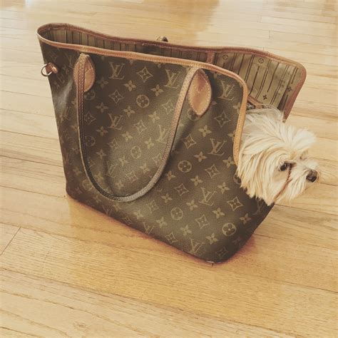 fake louis vuitton dog purse